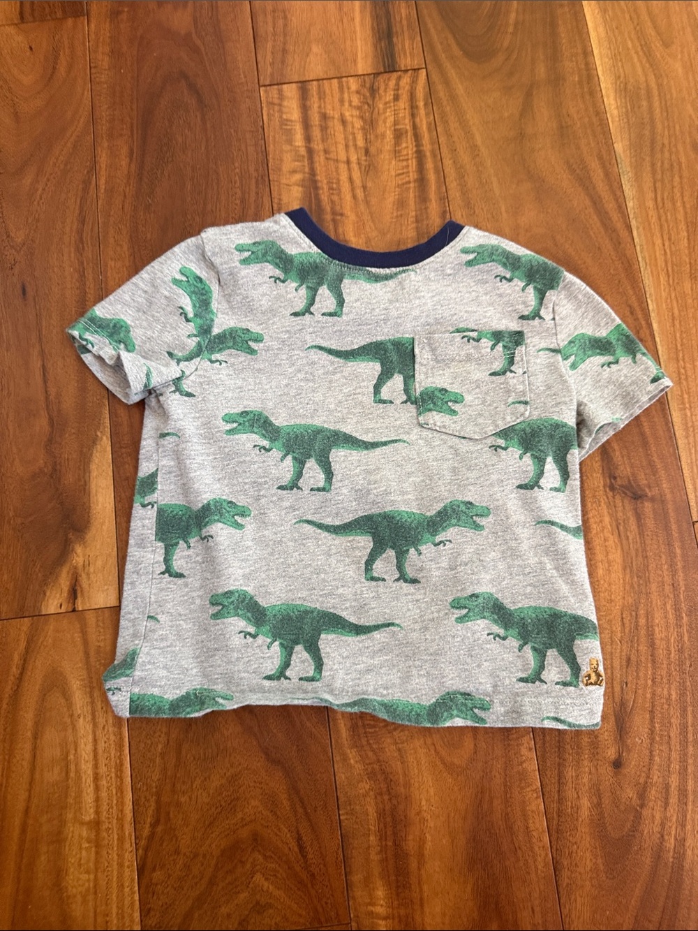 GAP Gray Tee with Green Dinosaur Print